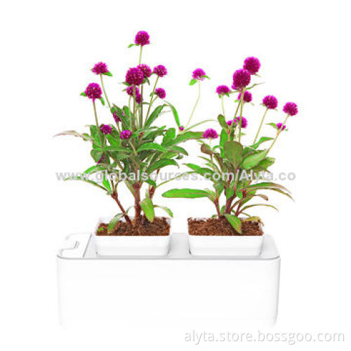 Best selling hydroponics equipment Sized 26.5 x 11.5 x 11.4cm